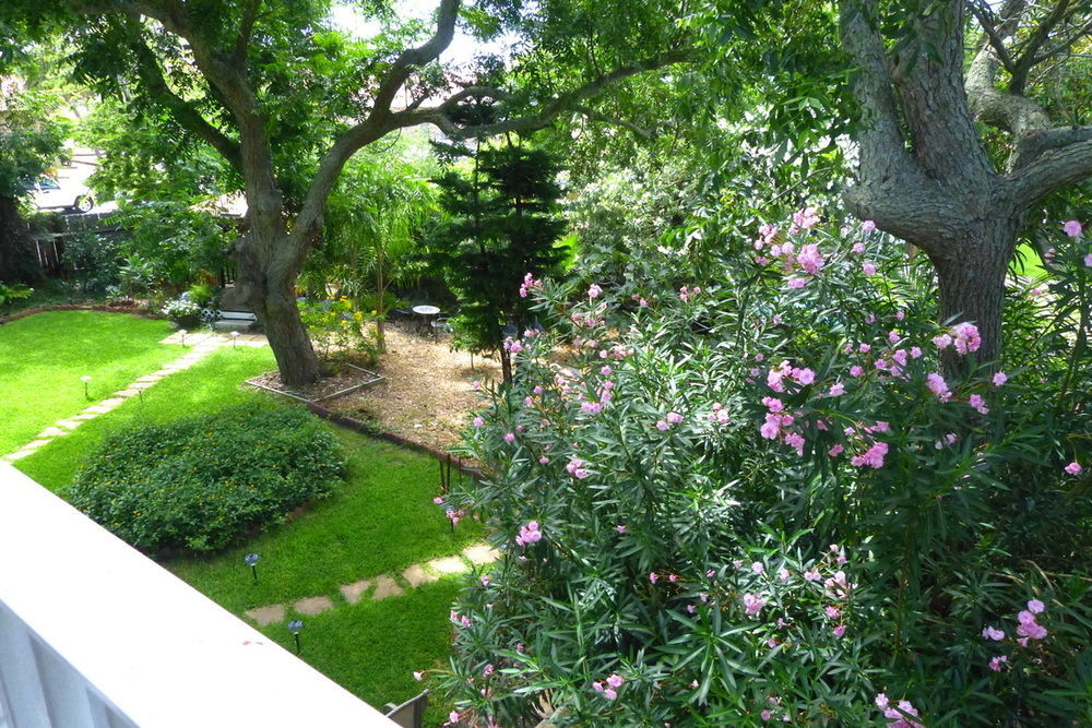 Avenue O Bed And Breakfast Galveston Exteriör bild
