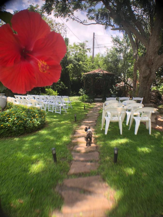 Avenue O Bed And Breakfast Galveston Exteriör bild
